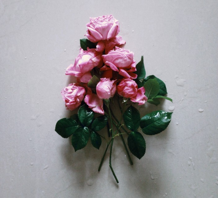 六篇高考满分作文——关于善，关于爱，关于价值，关于情怀