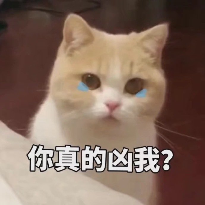 猫生气了表情