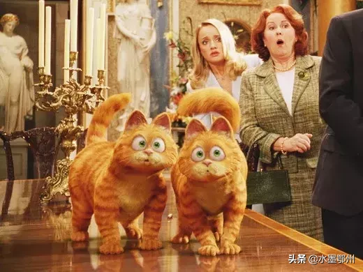 刷完100部“猫片”,发现你们对喵星人的偏见竟如此之大