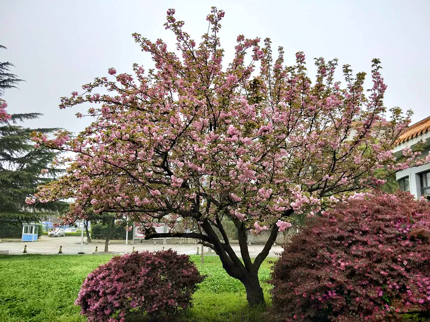 快讯 | 荆州技师学院为开学布置2间隔离室和2间陪护室