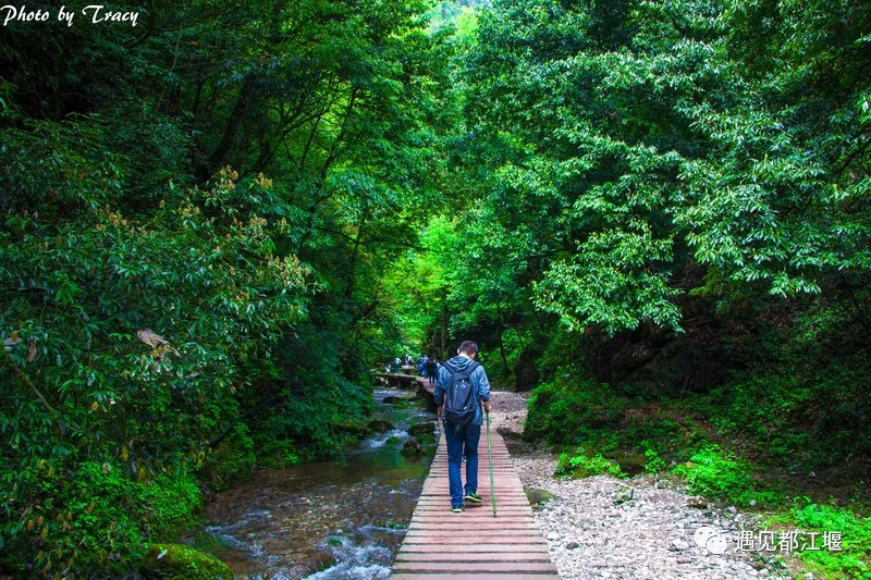 到青城山，解锁夏日最最最清凉的耍法