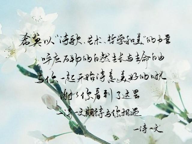 愿我一回眸的瞬间，望见你如花的笑颜