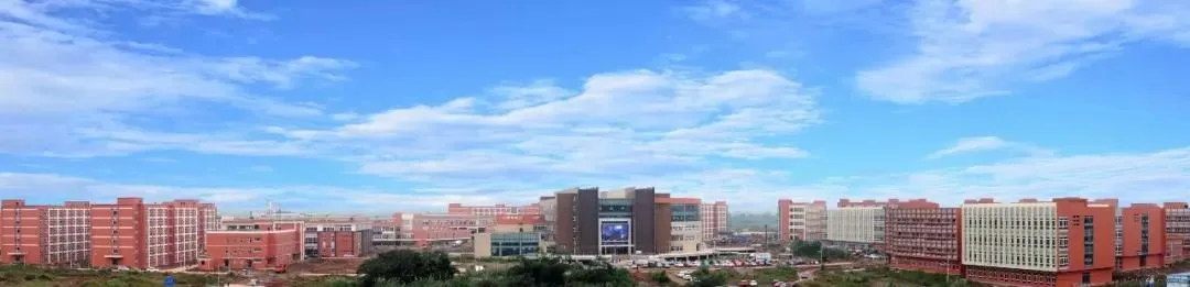 乐山有一所综合性大学，各地区县医院是实习单位，今年高职单招