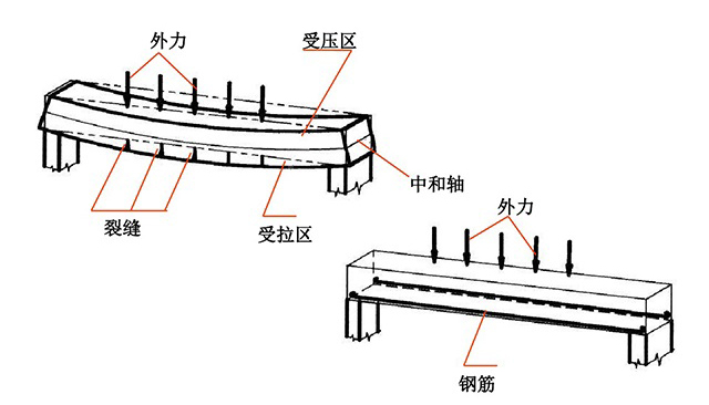 不会看钢筋图纸怎么办？30年老师傅教你看懂，5分钟教会你