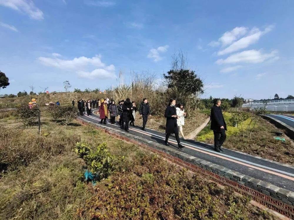 雁江区与四川师范大学举行工作座谈会