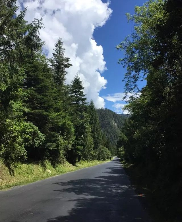 独属一人的风景 | 那就去墨脱吧