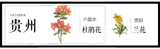 中国十大城市市花（史上最全中国各城市市花）