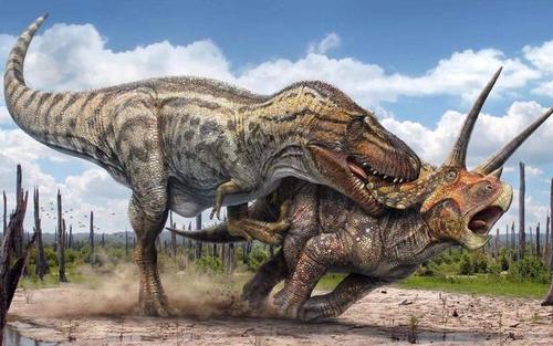 小于霸王龙和蛮龙,但也是第3大的食肉恐龙,生存于晚白垩纪的阿根廷