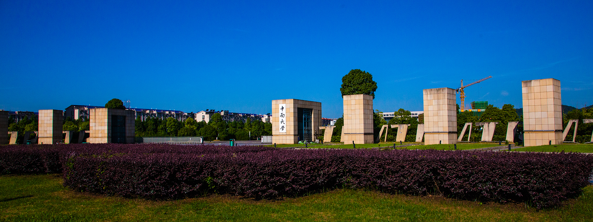 中南大学在哪里个城市（中南大学2021录取8559人）