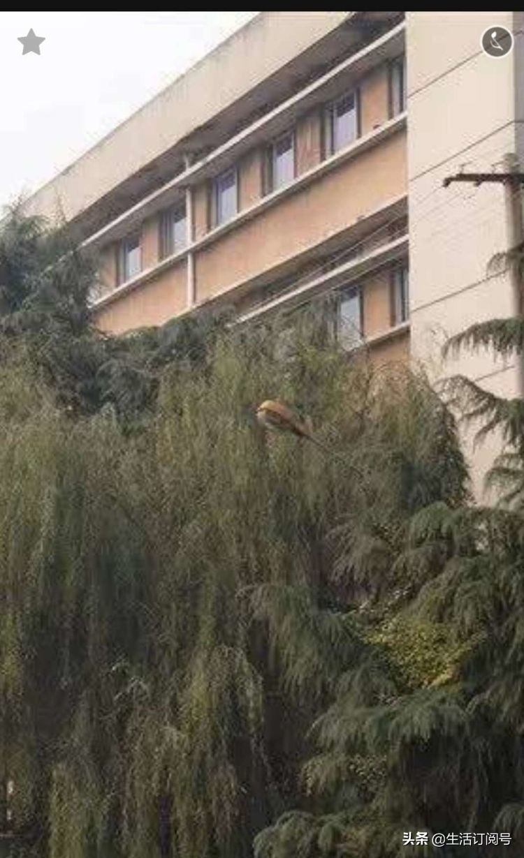 许昌的老师看过来，回忆回忆咱们的许昌师范学校