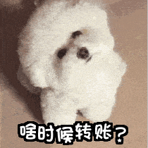 聚餐收费直接用群收款，账单一目了然，避免一切误解与尴尬