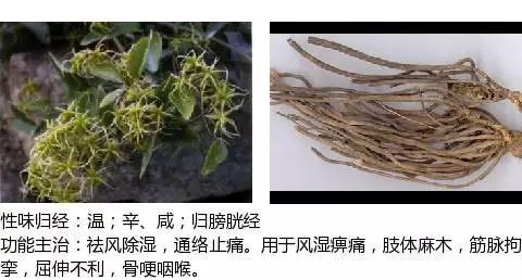 300个中草药图谱（附主治功效），知道一半就太牛了（上）