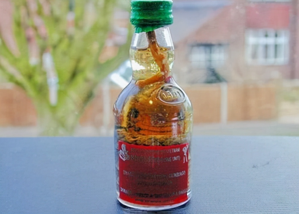 泡酒20年毒蛇仍能咬人？揭秘蛇酒长期浸泡仍具活性的原因