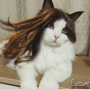 2020版最新法官、检察官表情大全！哈哈哈