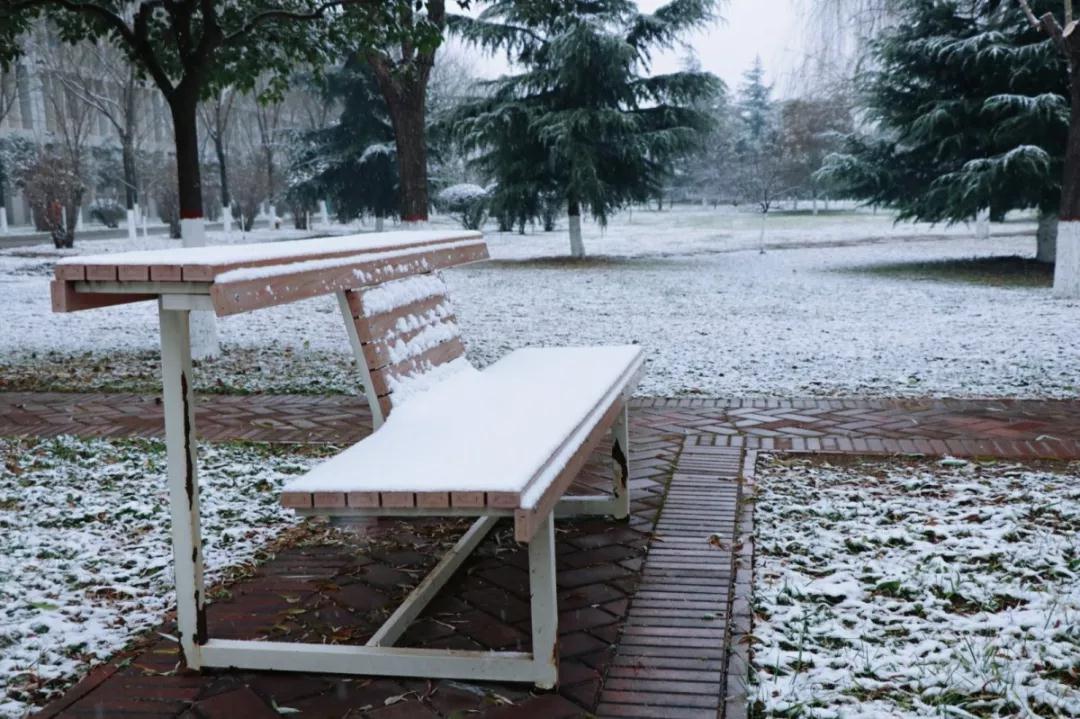 西安外国语大学，是由什么做成的？