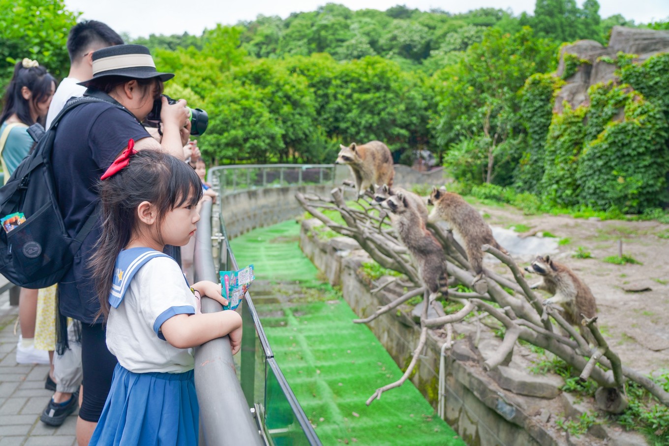 寧波雅戈爾動物園門票多少錢(寧波親子游) - 價格百科