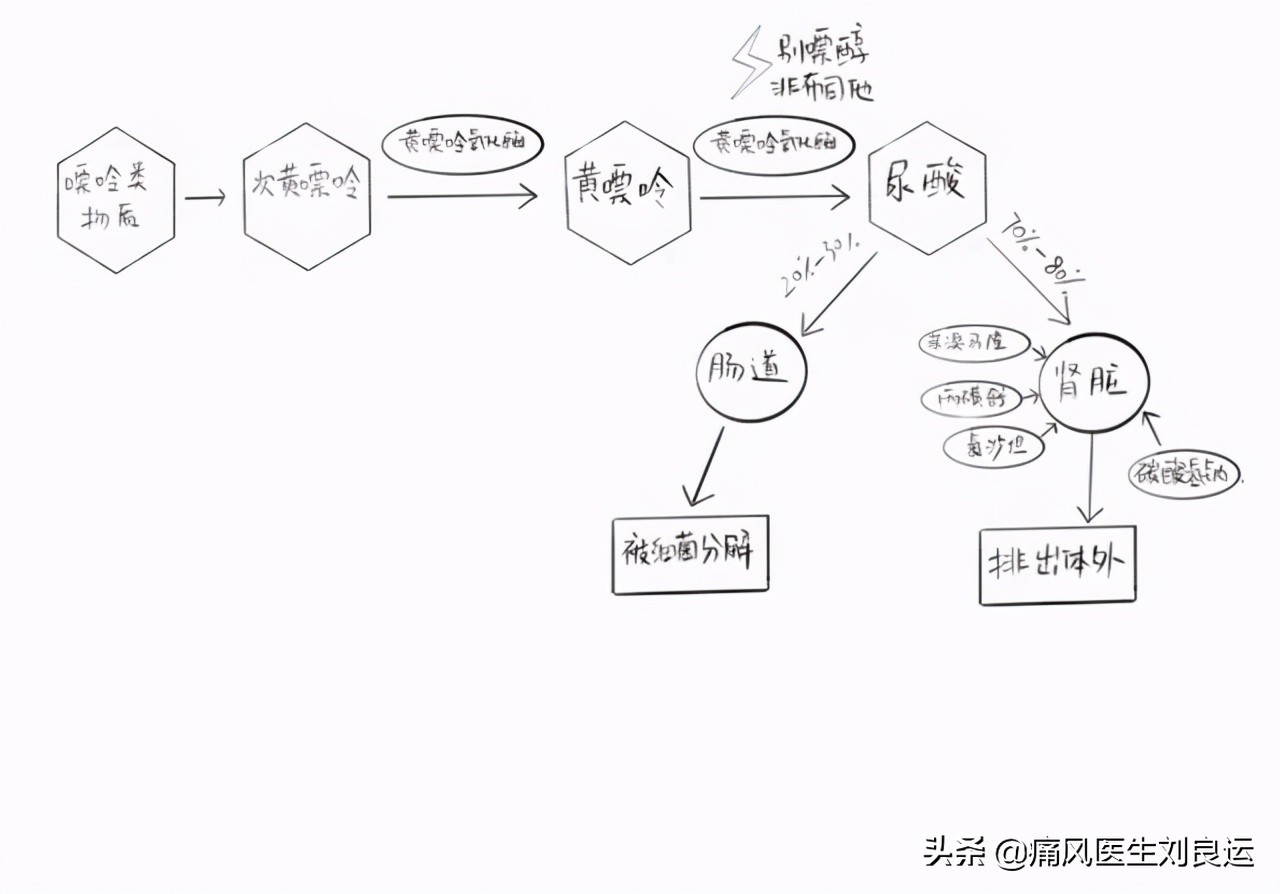 印度的非布司他比国产药降尿酸效果更好？治疗痛风请先对症再用药