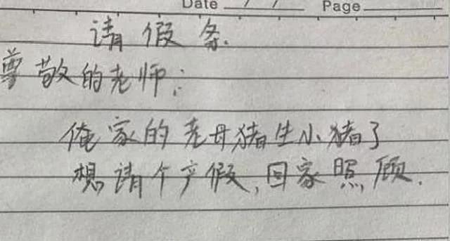教师产假请假条,教师产假申请书