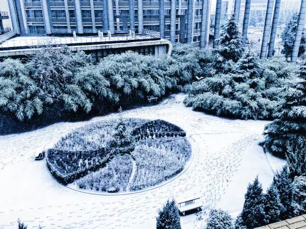 瞩目！5个单词，带你了解西安外国语大学的