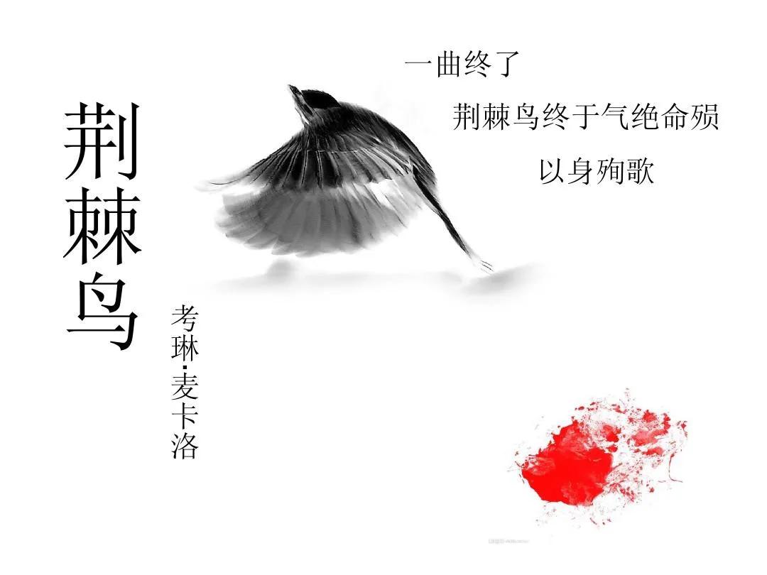 荆棘鸟的名人名言