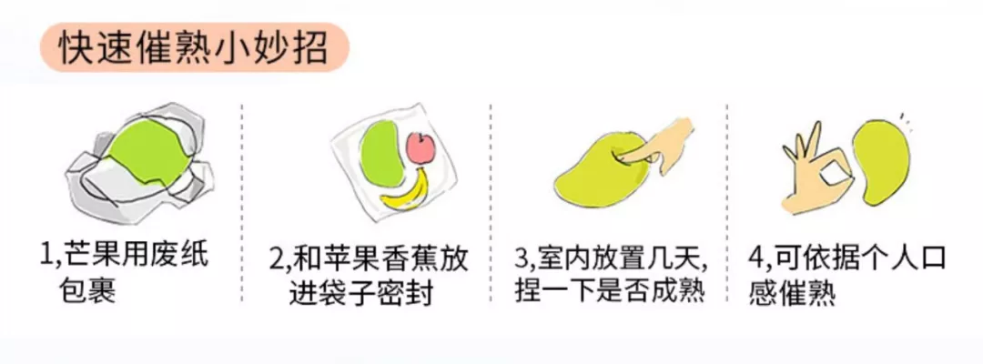 最好吃的芒果图鉴指南，怎么选芒果，看完这篇文章你就知道了