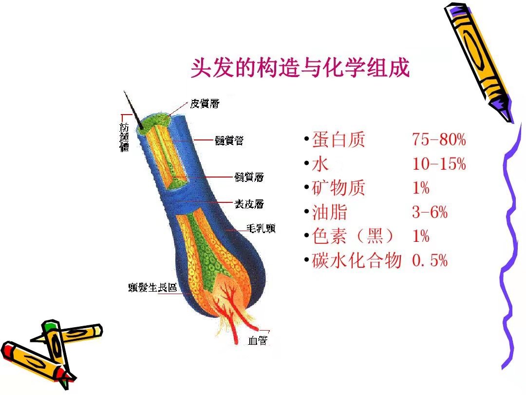 发质稀少细软贴头皮怎么办？不要天天做造型，3款烫发时髦又实用