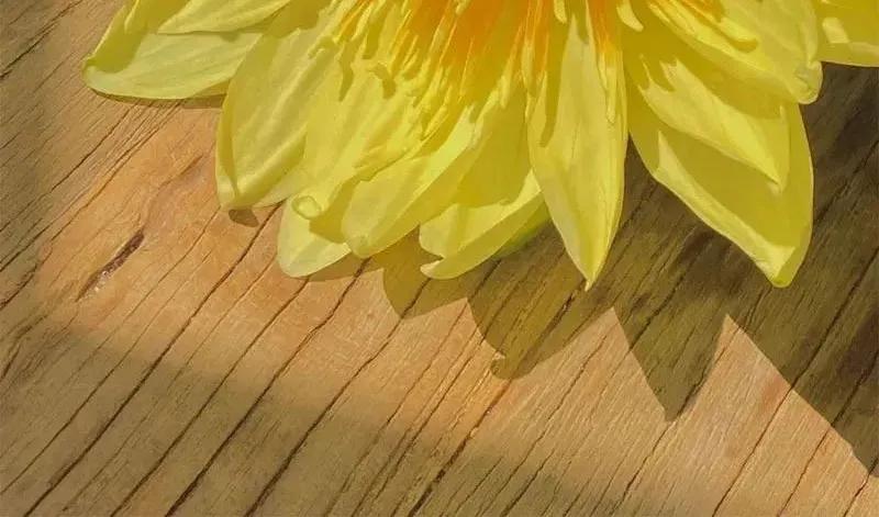 写作小白快速过稿干货