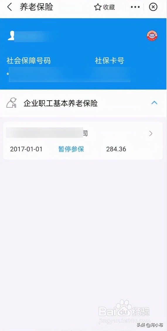 如何在手机上查询社保缴费情况