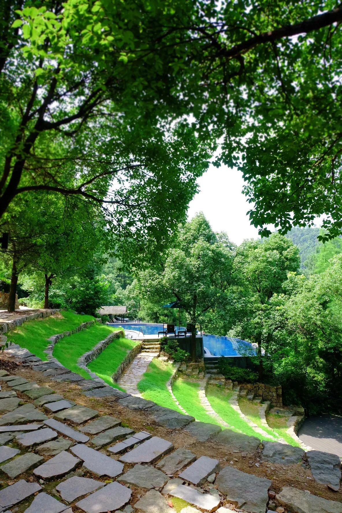 裸心谷旅游攻略(藏在莫干山里的童话王国) | 说走就走