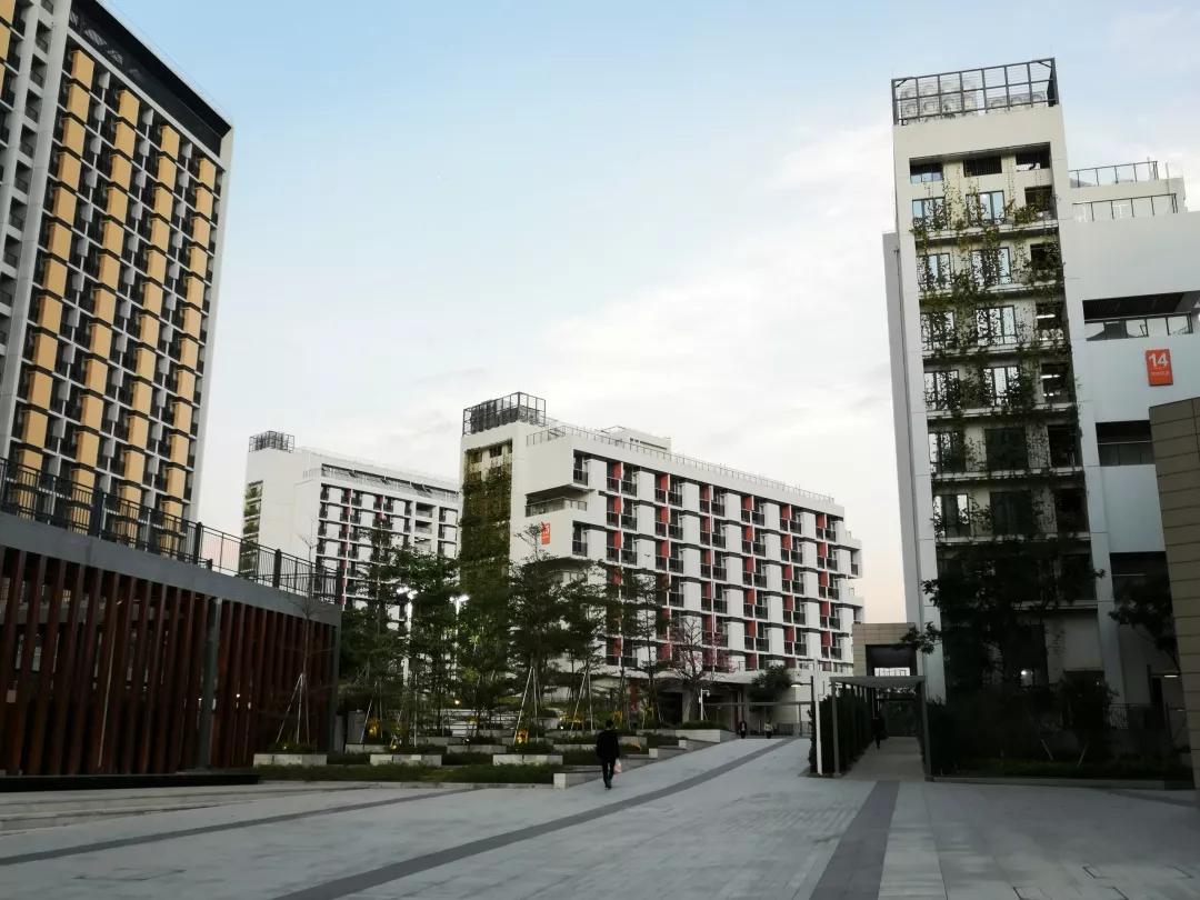 南方科技大学：一所“试图”入选“双一流”的高校，值得报考吗