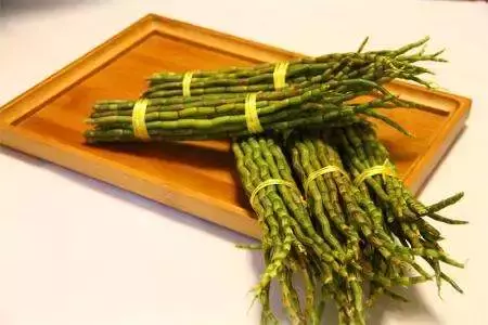 想种植中药材,但不知道种什么?这里有答案