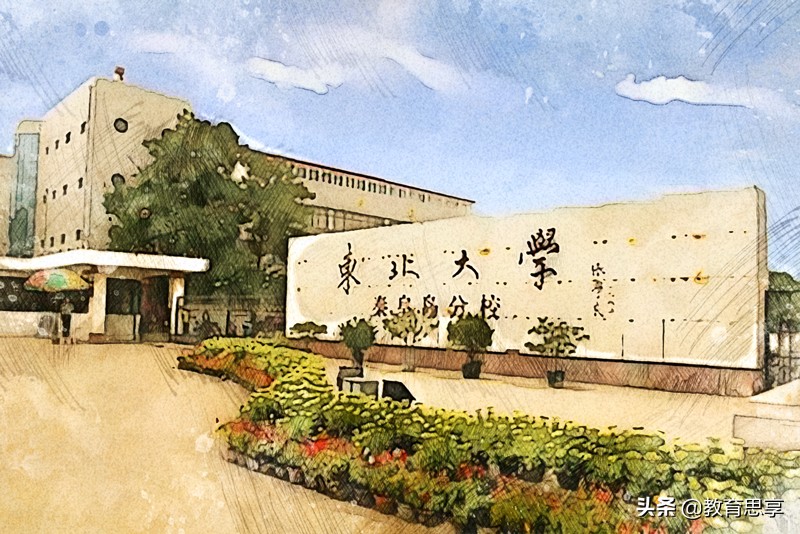 这所东北大学分校，是河北的985高校，常被误认为“野鸡大学”