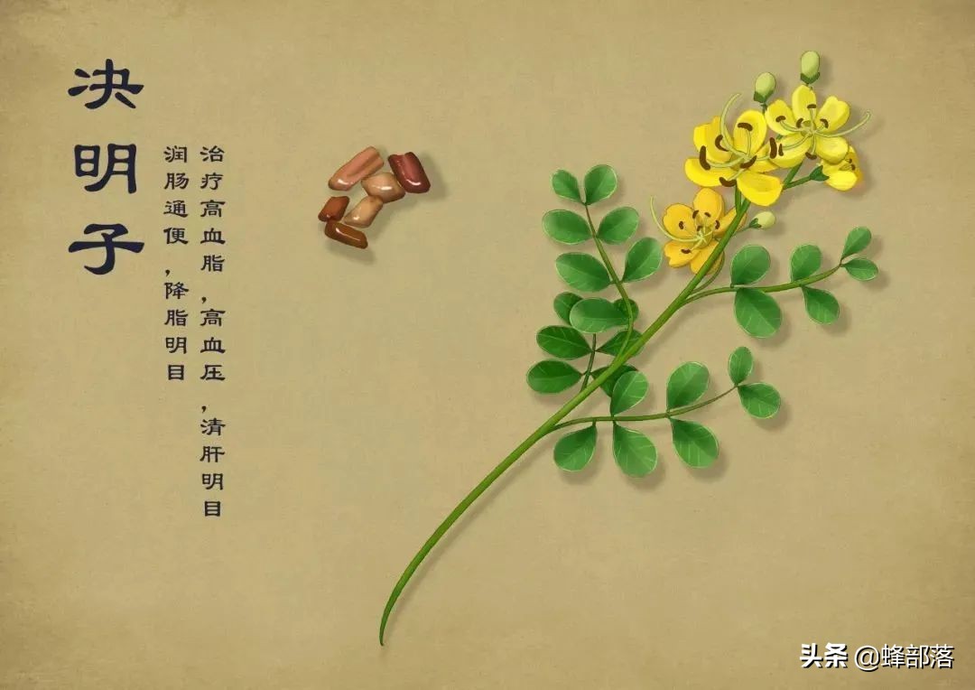 什么藥材好種植,什么藥材好種植又賺錢
