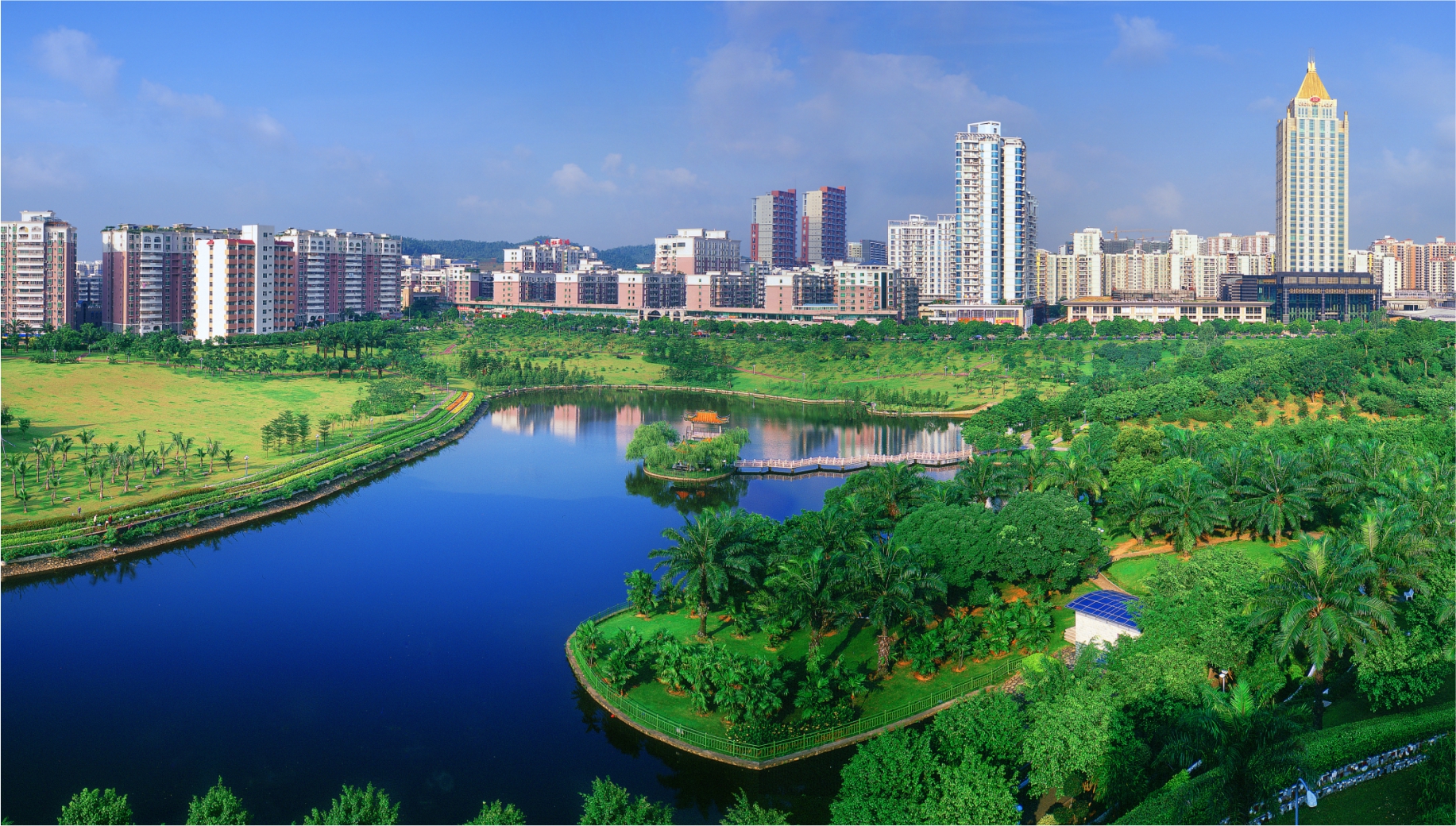 2019龙岗对话：下好“民生棋”，经济红利蝶变民生福利