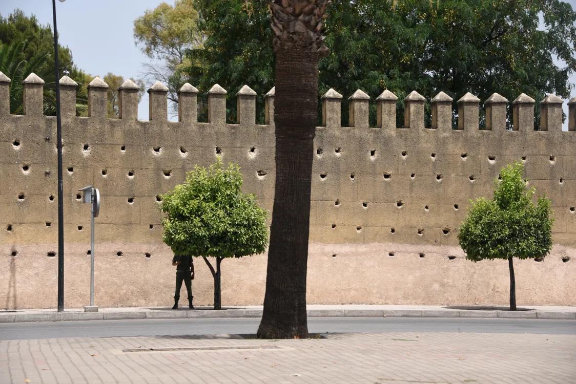 摩洛哥王国国王行宫和庄园的皇家卫队