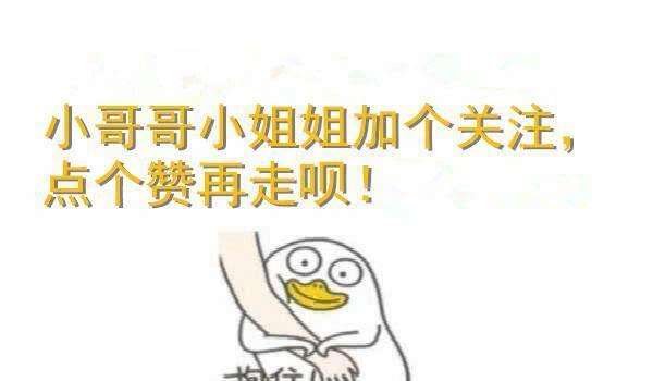 最好“养”的猫咪排名榜来了，第1名当之无愧