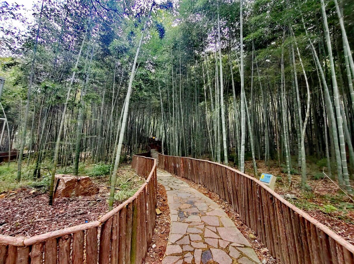 关于武汉蔡甸•九真山第三届登山节活动临时暂停的一封信