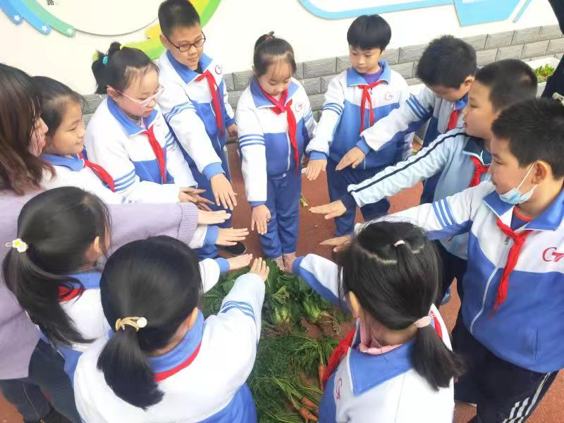 邯郸：丛台区学步桥小学开展校园劳动实践课