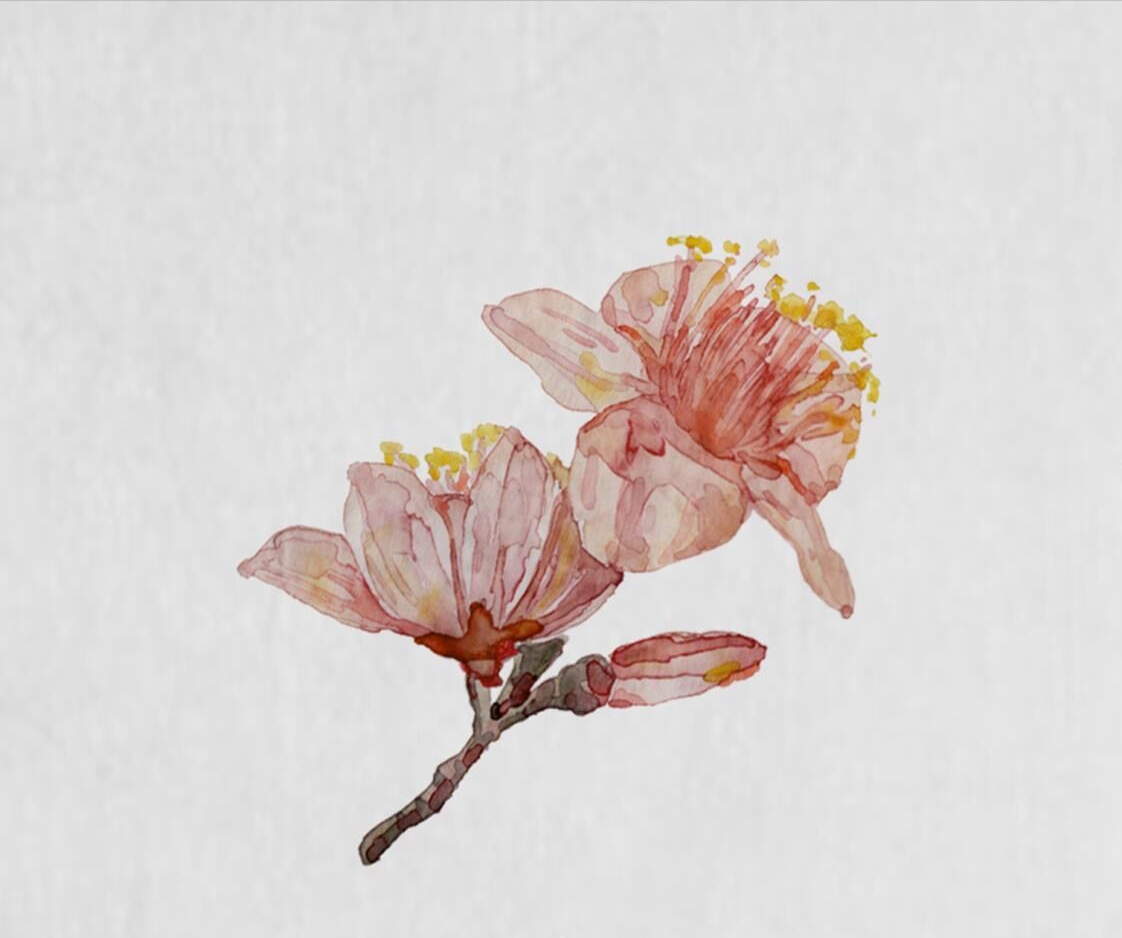 桃花流水窅然去，十里桃林映斜阳