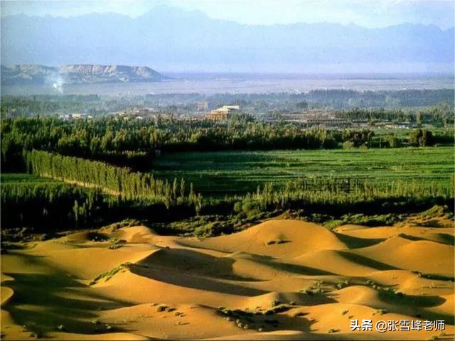 张雪峰讲高考志愿:被