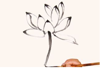 用白描双勾画法来画荷花盛开的花头和花苞