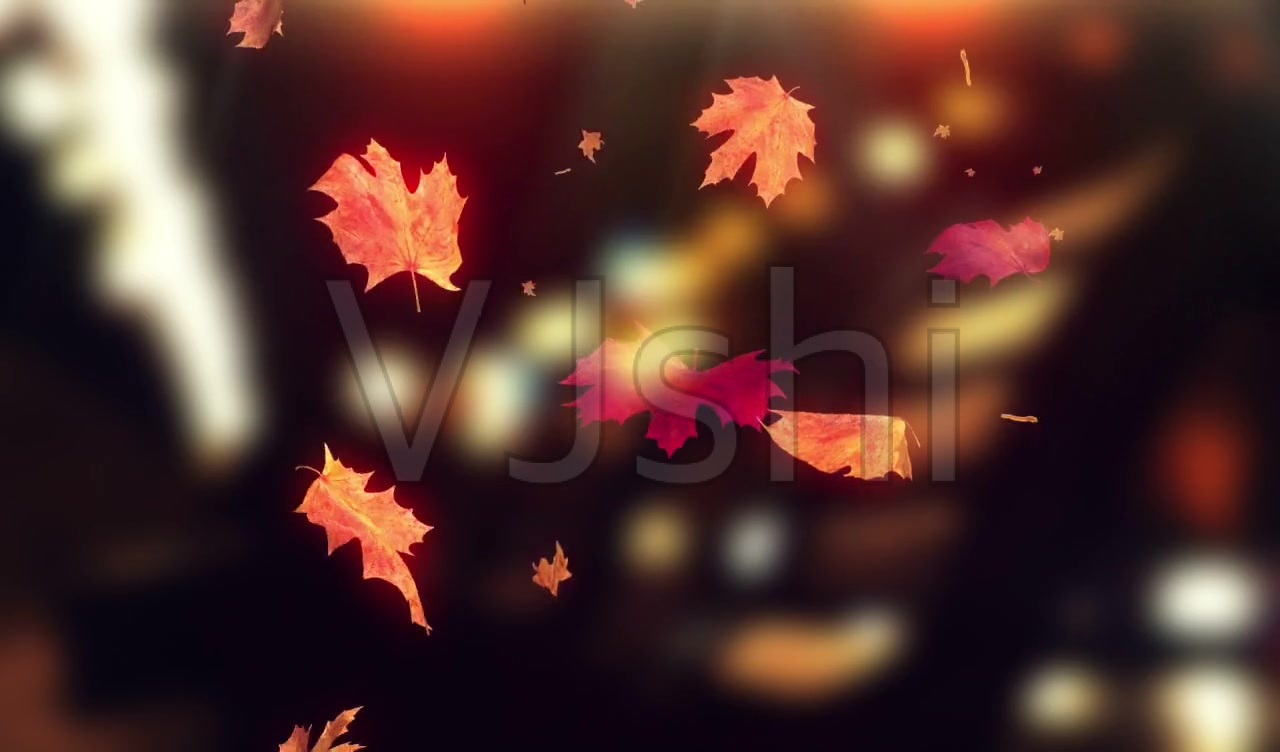 散文：在最美的清秋，感悟一叶人生