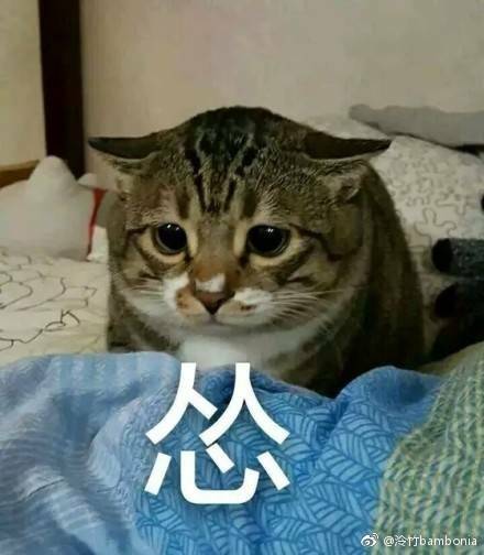 号称“不赚差价”的二手车平台，水深得能养巨齿鲨了