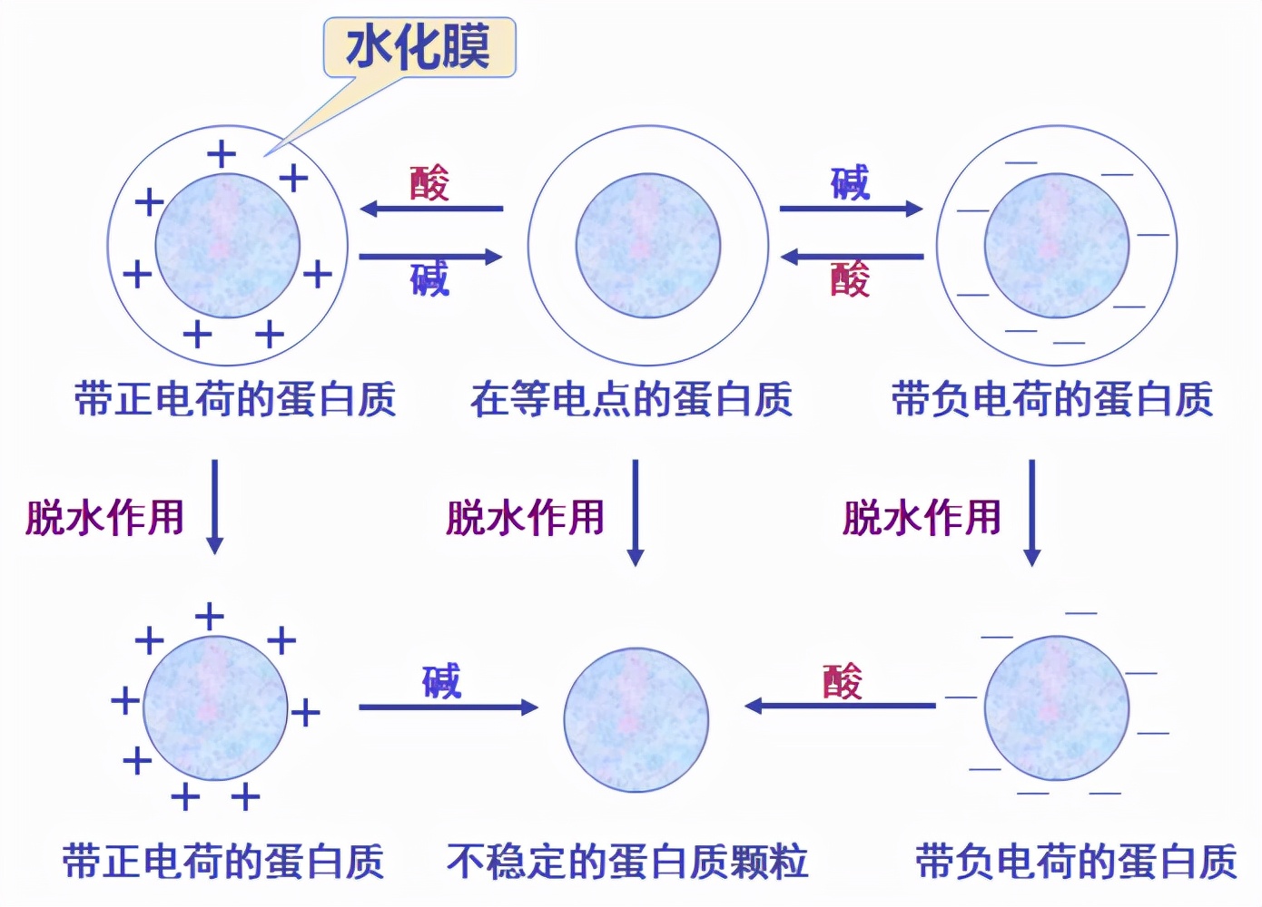 破壁机打豆浆沫太多？可以尝试加入“这种物质”，可适当减少泡沫