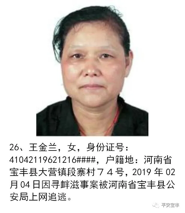 网上逃犯,网上逃犯名单查询系统