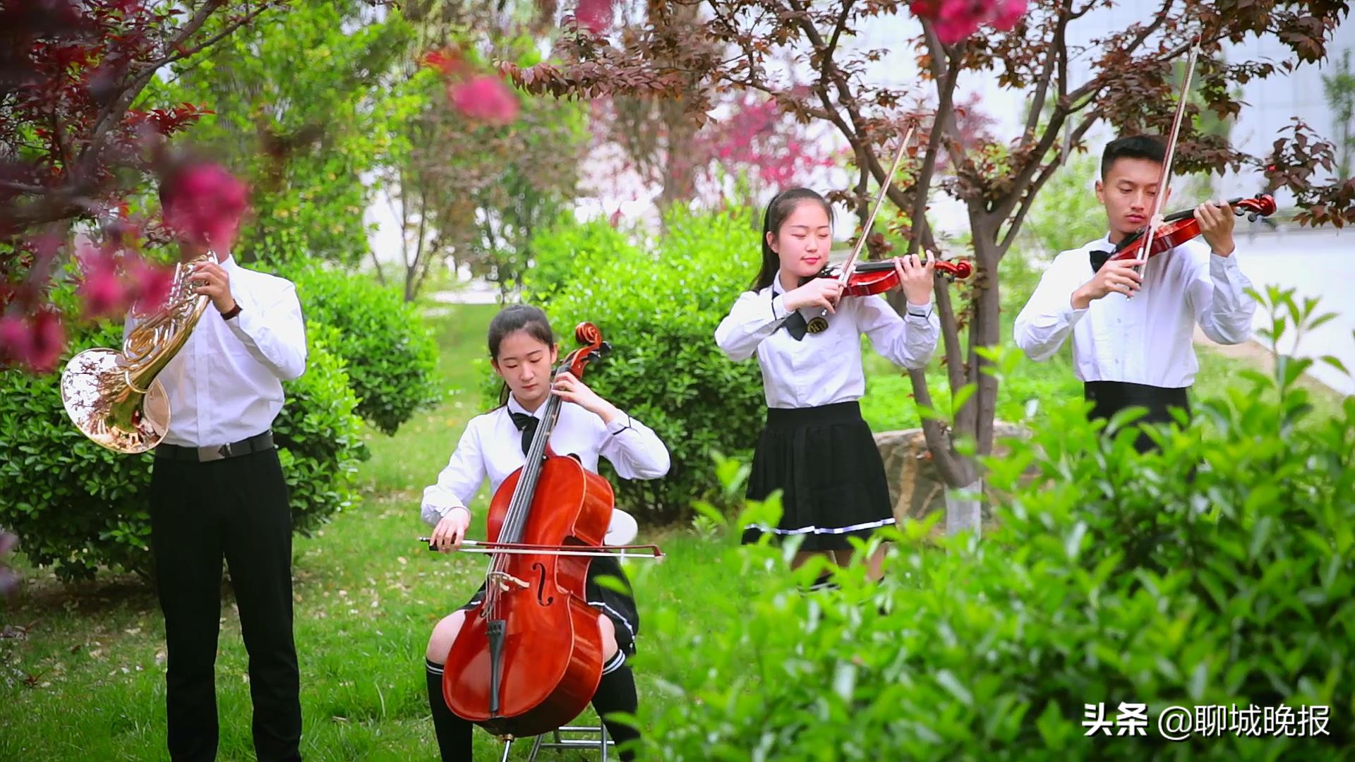 聊城这所高中不一般：普本录取稳居城区前三 名校突破硕果累累