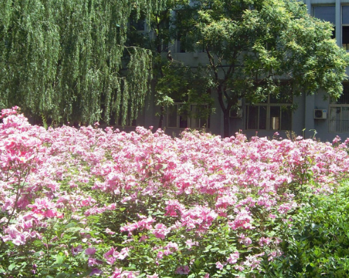 太原理工大学2016-2018录取分数线