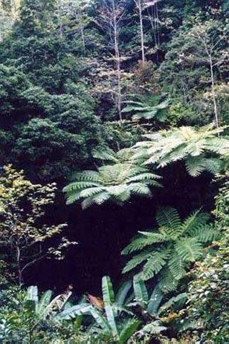 怎样理解生态系统结构