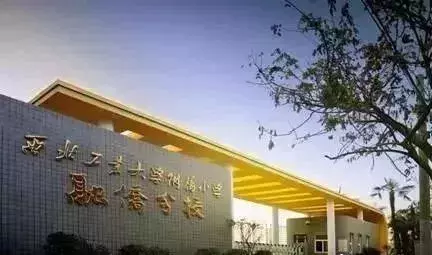 2019西安优质小学大解析！