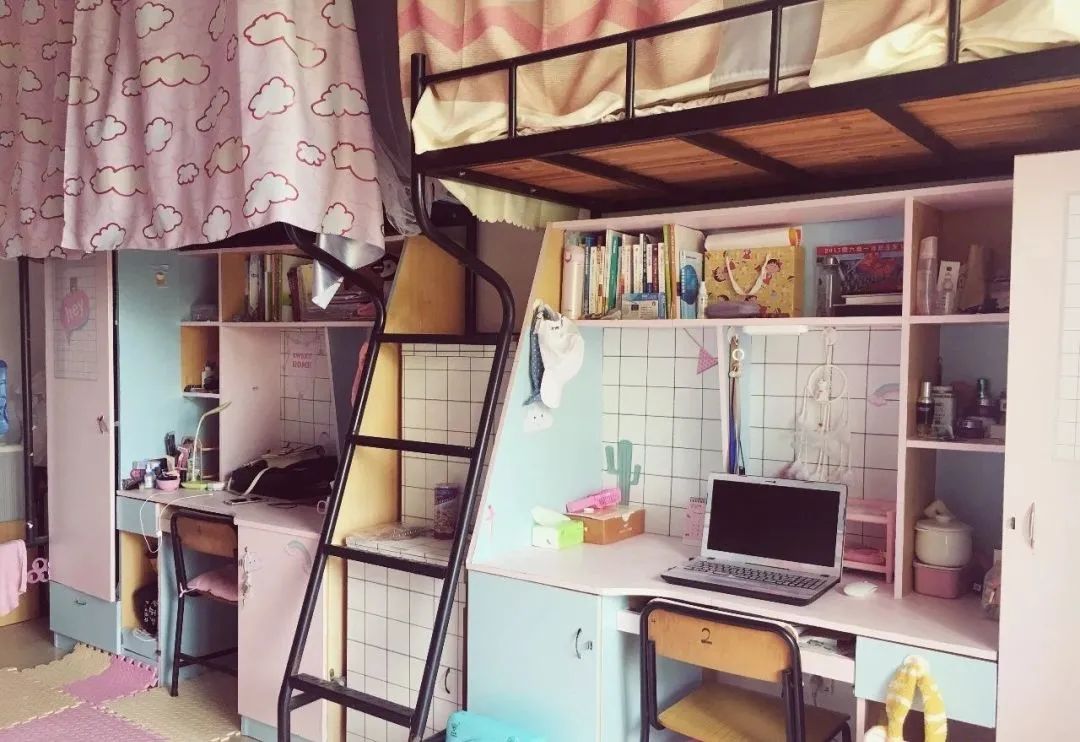 高职高考必看｜全面了解韶关学院